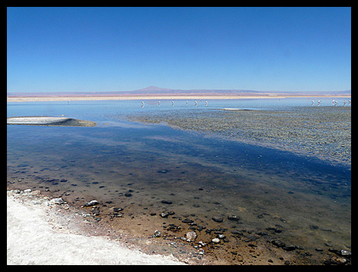 salar de Atacama